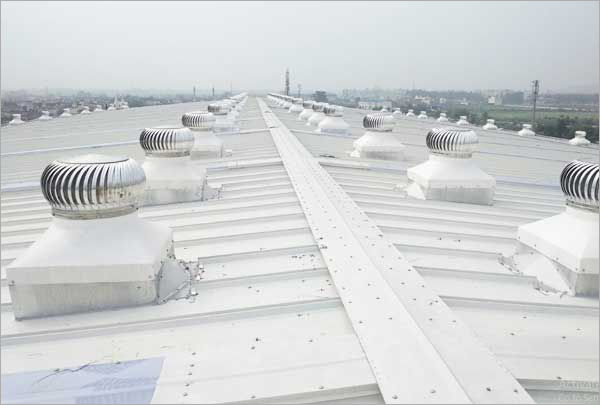 Roof Ventilators